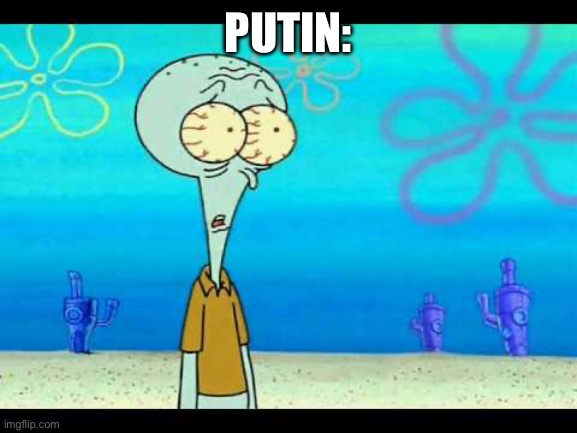 Squidward Face | PUTIN: | image tagged in squidward face | made w/ Imgflip meme maker