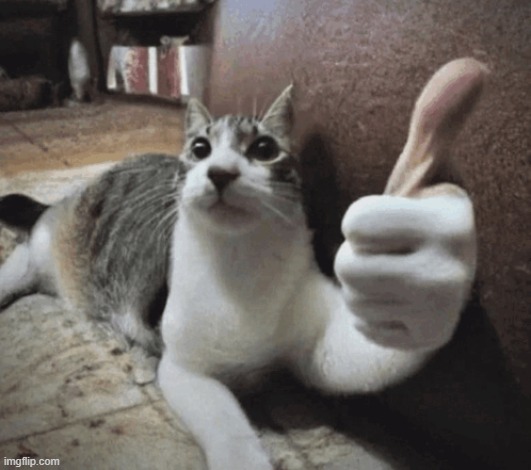 cat thumbs up | image tagged in cat thumbs up | made w/ Imgflip meme maker