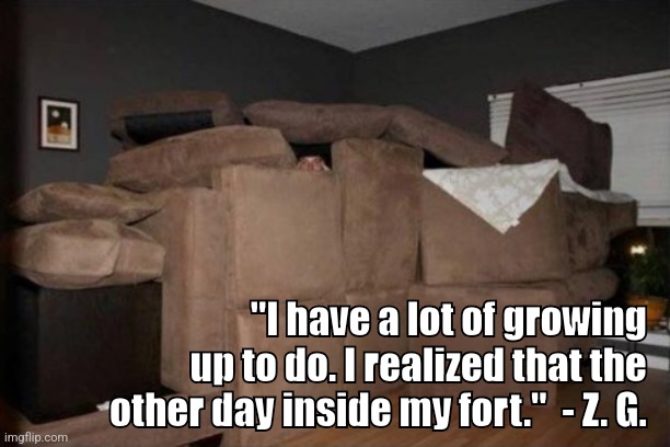 Adulting | "I have a lot of growing up to do. I realized that the other day inside my fort."  - Z. G. | image tagged in pillow fort | made w/ Imgflip meme maker