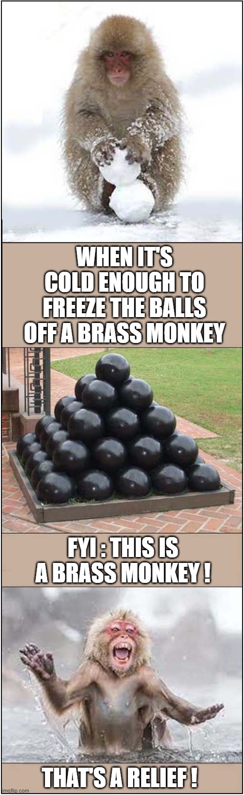 Low Temperature Consequences ! | WHEN IT'S COLD ENOUGH TO FREEZE THE BALLS OFF A BRASS MONKEY; FYI : THIS IS A BRASS MONKEY ! THAT'S A RELIEF ! | image tagged in freezing cold,monkeys,balls,naval,sayings,dark humour | made w/ Imgflip meme maker