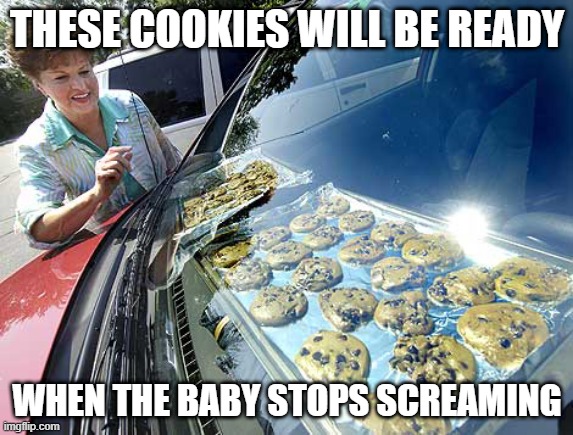 Baking in the Car | THESE COOKIES WILL BE READY; WHEN THE BABY STOPS SCREAMING | image tagged in dark humor | made w/ Imgflip meme maker