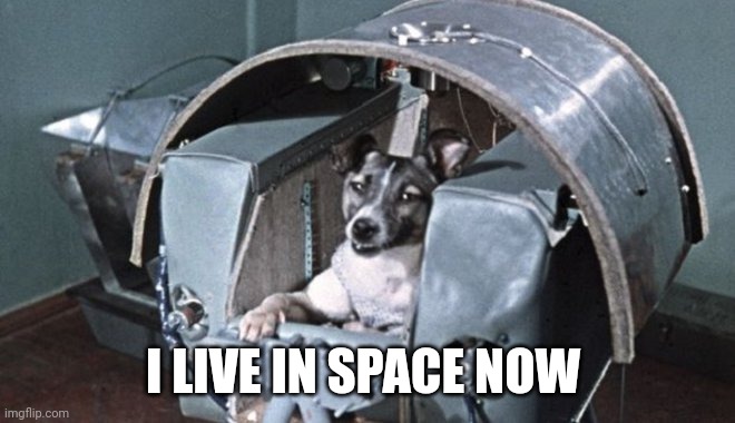SPUTNIK V | I LIVE IN SPACE NOW | image tagged in sputnik v | made w/ Imgflip meme maker