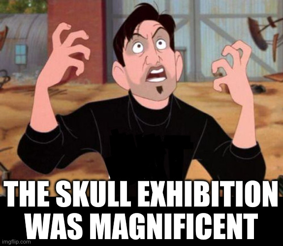 Artist yelling ART | THE SKULL EXHIBITION WAS MAGNIFICENT | image tagged in artist yelling art | made w/ Imgflip meme maker