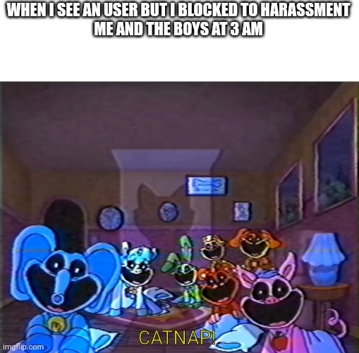 We'll we did it bois | WHEN I SEE AN USER BUT I BLOCKED TO HARASSMENT
ME AND THE BOYS AT 3 AM; CATNAP! | image tagged in smiling critters group smile,we'll we did it bois | made w/ Imgflip meme maker