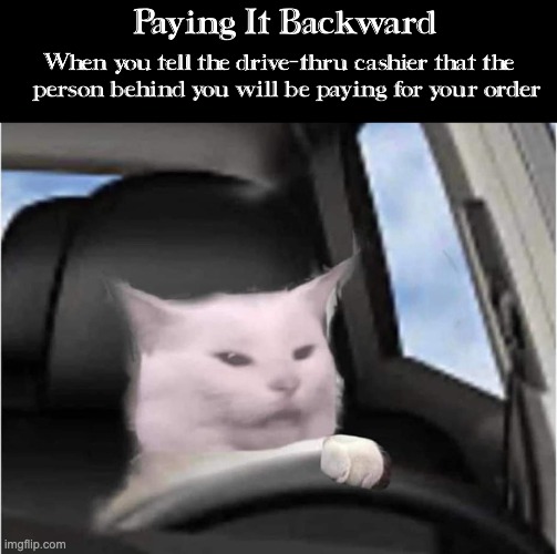 Pay It Backward | image tagged in cat driving,grumpy,cha-ching | made w/ Imgflip meme maker