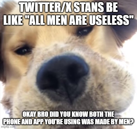 Doggo bruh | TWITTER/X STANS BE LIKE "ALL MEN ARE USELESS"; OKAY BRO DID YOU KNOW BOTH THE PHONE AND APP YOU'RE USING WAS MADE BY MEN? | image tagged in doggo bruh | made w/ Imgflip meme maker