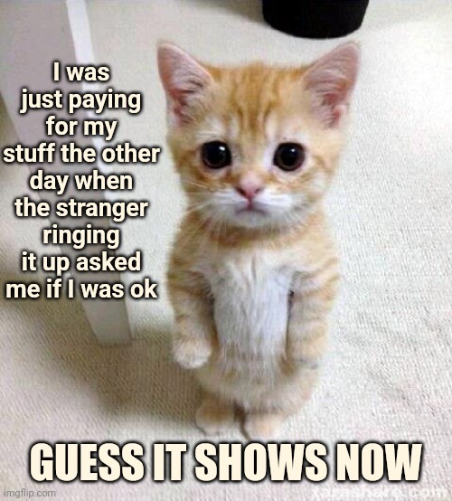 Memories Become Heavier And Heavier | I was just paying for my stuff the other day when the stranger ringing it up asked me if I was ok; GUESS IT SHOWS NOW | image tagged in memes,cute cat,heavy,memories,life,experience | made w/ Imgflip meme maker