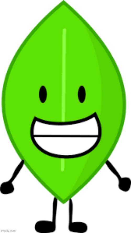 leafy bfdi | image tagged in leafy bfdi | made w/ Imgflip meme maker