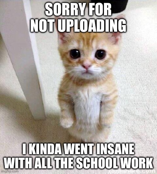 Sorry :( | SORRY FOR NOT UPLOADING; I KINDA WENT INSANE WITH ALL THE SCHOOL WORK | image tagged in memes,cute cat | made w/ Imgflip meme maker