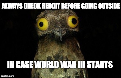 Weird Stuff I Do Potoo Meme | ALWAYS CHECK REDDIT BEFORE GOING OUTSIDE IN CASE WORLD WAR III STARTS | image tagged in crazy eyed bird,AdviceAnimals | made w/ Imgflip meme maker