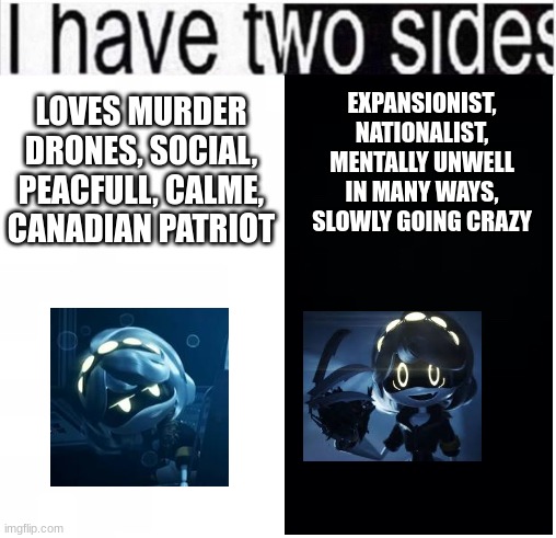 help :'D | EXPANSIONIST, NATIONALIST, MENTALLY UNWELL IN MANY WAYS, SLOWLY GOING CRAZY; LOVES MURDER DRONES, SOCIAL, PEACFULL, CALME, CANADIAN PATRIOT | made w/ Imgflip meme maker