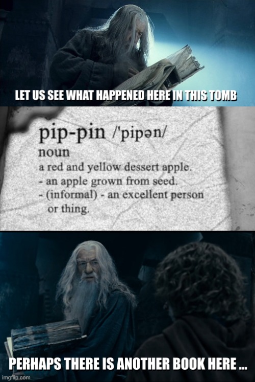 Pippin the Excellent | image tagged in fool of a took,lotr,pippin,gandalf | made w/ Imgflip meme maker