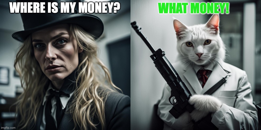 Cat with filthy soul | WHAT MONEY! WHERE IS MY MONEY? | image tagged in smudge the cat | made w/ Imgflip meme maker
