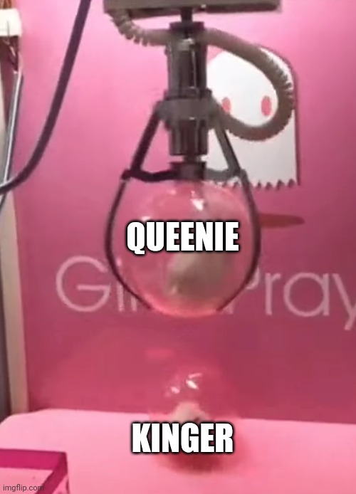 Hamsters in a claw machine | QUEENIE; KINGER | image tagged in hamsters in a claw machine | made w/ Imgflip meme maker