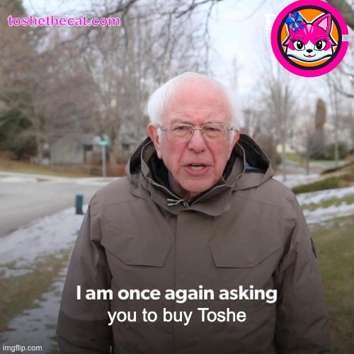 Bernie I Am Once Again Asking For Your Support Meme | toshethecat.com; you to buy Toshe | image tagged in memes,bernie,toshe,cryptocurrency | made w/ Imgflip meme maker