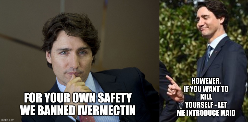 Clown Show | HOWEVER, IF YOU WANT TO
KILL YOURSELF - LET ME INTRODUCE MAID; FOR YOUR OWN SAFETY
WE BANNED IVERMECTIN | image tagged in justin trudeau readiness,one thing,ivermectin | made w/ Imgflip meme maker