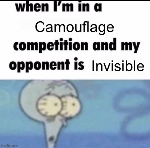 Me when the when the when | Camouflage; Invisible | image tagged in me when i'm in a competition and my opponent is | made w/ Imgflip meme maker