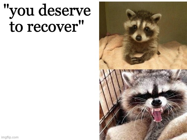 sweet then sour raccoon | "you deserve to recover" | image tagged in raccoon,recovery | made w/ Imgflip meme maker