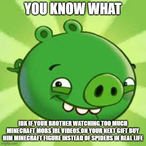 Bad Piggies | YOU KNOW WHAT IDK IF YOUR BROTHER WATCHING TOO MUCH MINECRAFT MOBS IRL VIDEOS.ON YOUR NEXT GIFT BUY HIM MINECRAFT FIGURE INSTEAD OF SPIDERS  | image tagged in bad piggies | made w/ Imgflip meme maker