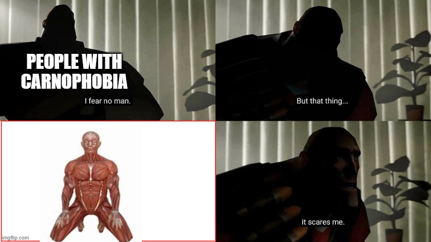 i have this phobia | PEOPLE WITH CARNOPHOBIA | image tagged in tf2 heavy i fear no man | made w/ Imgflip meme maker
