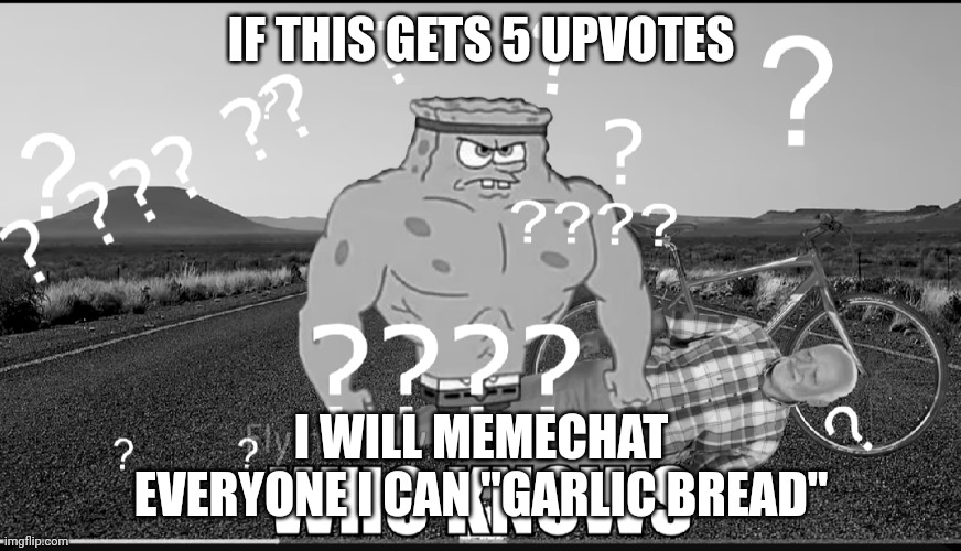 Who knows | IF THIS GETS 5 UPVOTES; I WILL MEMECHAT EVERYONE I CAN "GARLIC BREAD" | image tagged in who knows | made w/ Imgflip meme maker