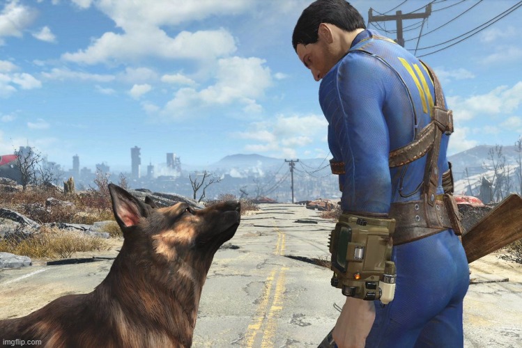 Fallout | image tagged in dog | made w/ Imgflip meme maker
