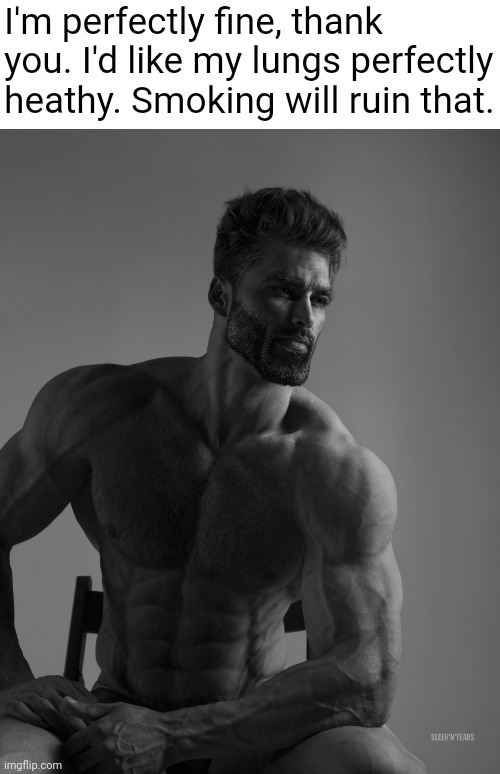 Giga Chad | I'm perfectly fine, thank you. I'd like my lungs perfectly heathy. Smoking will ruin that. | image tagged in giga chad | made w/ Imgflip meme maker