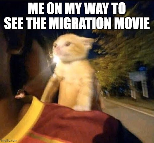 liked it, dont care | ME ON MY WAY TO SEE THE MIGRATION MOVIE | image tagged in on my way cat,migration movie,memes,funny,cats,migration | made w/ Imgflip meme maker