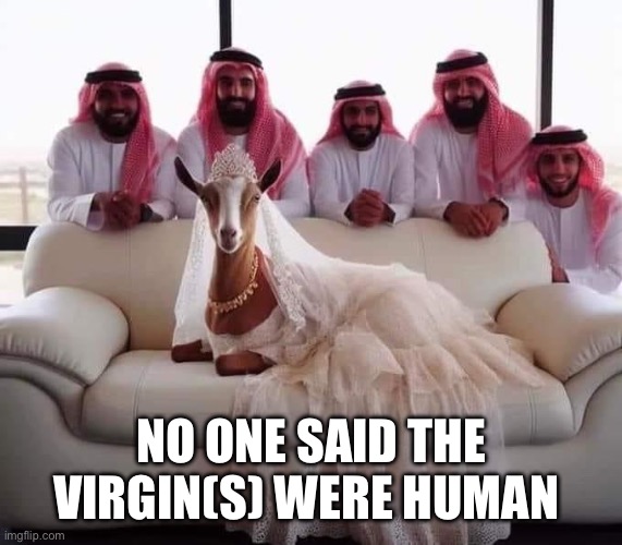 ab·ro·ga·tion | NO ONE SAID THE VIRGIN(S) WERE HUMAN | image tagged in ab ro ga tion | made w/ Imgflip meme maker