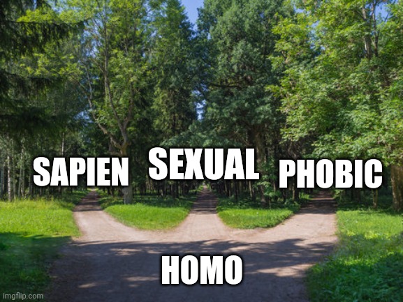 Which one | SEXUAL; PHOBIC; SAPIEN; HOMO | image tagged in 3 paths diverge in wood | made w/ Imgflip meme maker