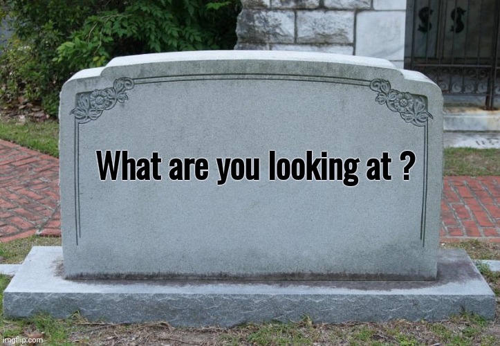 Gravestone | What are you looking at ? | image tagged in gravestone | made w/ Imgflip meme maker