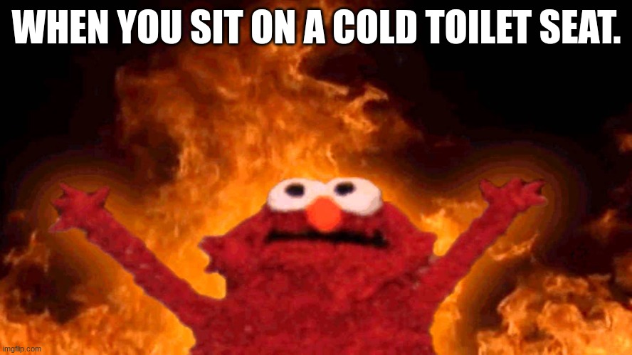 When you sit on a cold toilet seat | WHEN YOU SIT ON A COLD TOILET SEAT. | image tagged in elmo fire | made w/ Imgflip meme maker