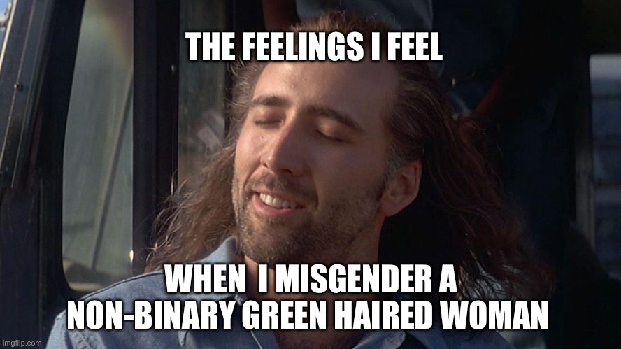 Nicolas Cage Feeling You Get | THE FEELINGS I FEEL; WHEN  I MISGENDER A NON-BINARY GREEN HAIRED WOMAN | image tagged in nicolas cage feeling you get,transphobic,gender,gender identity | made w/ Imgflip meme maker