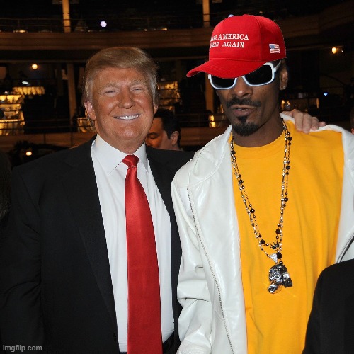 Rollin' down the street, voting Trump | image tagged in snoop dogg | made w/ Imgflip meme maker