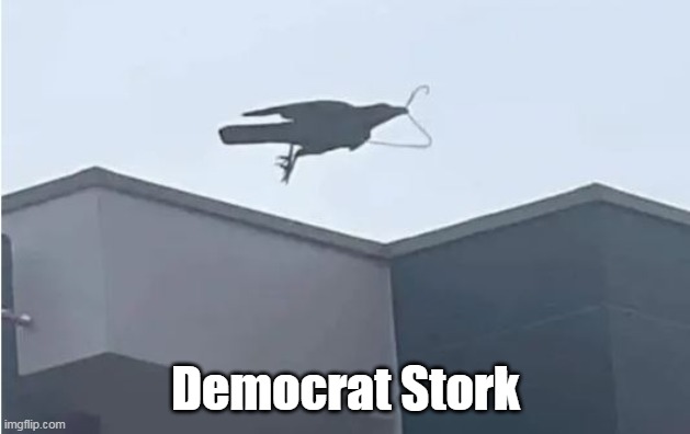 Democrat Stork | made w/ Imgflip meme maker