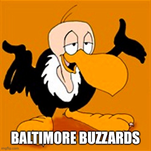 buzzard | BALTIMORE BUZZARDS | image tagged in buzzard,baltimore ravens | made w/ Imgflip meme maker