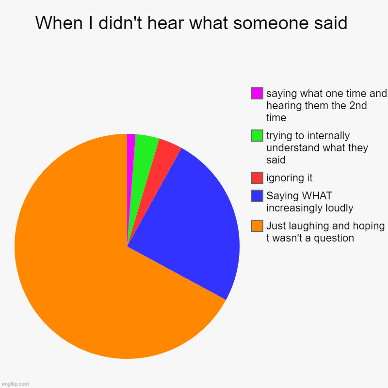 When I didn't hear what someone said | Just laughing and hoping t wasn't a question, Saying WHAT increasingly loudly, ignoring it, trying to | image tagged in charts,pie charts | made w/ Imgflip chart maker