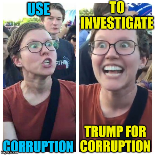 They accuse you of that which they are guilty of... | TO INVESTIGATE; USE; TRUMP FOR CORRUPTION; CORRUPTION | image tagged in social justice warrior hypocrisy,fatti willis,subpoened,for corruption | made w/ Imgflip meme maker