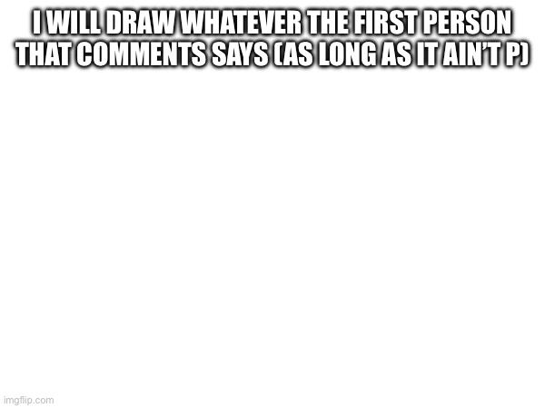 I WILL DRAW WHATEVER THE FIRST PERSON THAT COMMENTS SAYS (AS LONG AS IT AIN’T P) | made w/ Imgflip meme maker