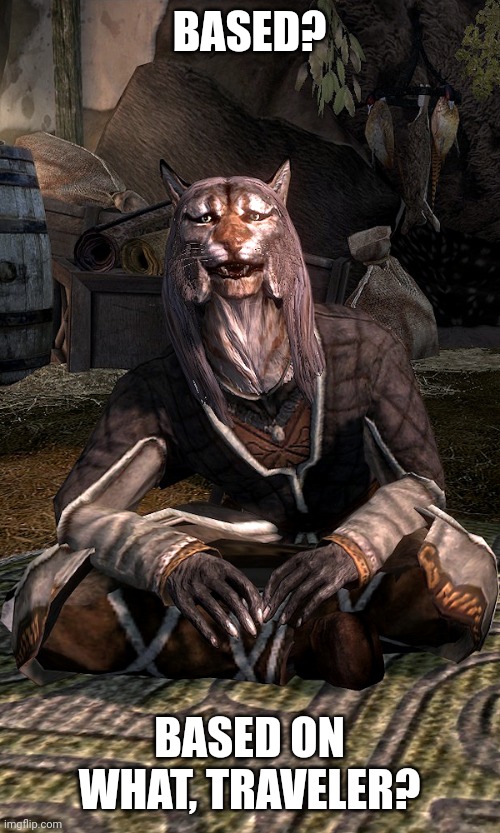 Based on what? But Khajiit | BASED? BASED ON WHAT, TRAVELER? | image tagged in based on what meme but khajiit | made w/ Imgflip meme maker