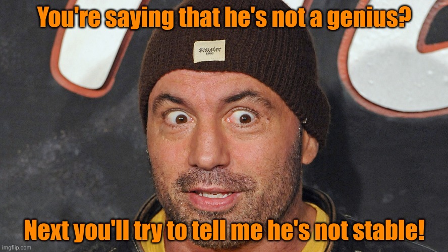 Joe Rogan WTF | You're saying that he's not a genius? Next you'll try to tell me he's not stable! | image tagged in joe rogan wtf | made w/ Imgflip meme maker