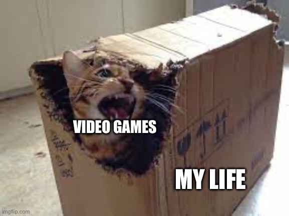 Cat destroying box | VIDEO GAMES; MY LIFE | image tagged in cat destroying box | made w/ Imgflip meme maker