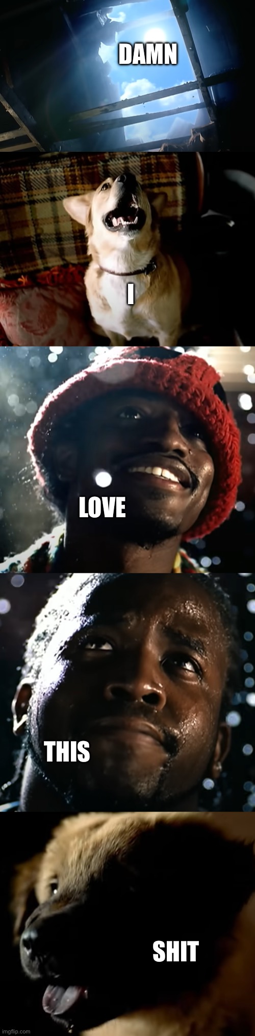 Damn I love this shit | DAMN; I; LOVE; THIS; SHIT | image tagged in ms jackson | made w/ Imgflip meme maker