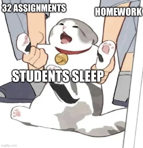 Cat being draged to unknown place | 32 ASSIGNMENTS; HOMEWORK; STUDENTS SLEEP | image tagged in cat being draged to unknown place | made w/ Imgflip meme maker