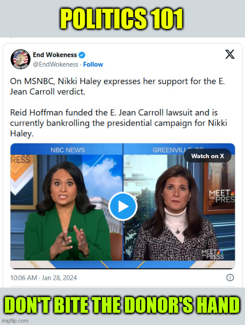 Follow the money | POLITICS 101; DON'T BITE THE DONOR'S HAND | image tagged in haley,funded by trump hater,pedo,reid hoffman | made w/ Imgflip meme maker