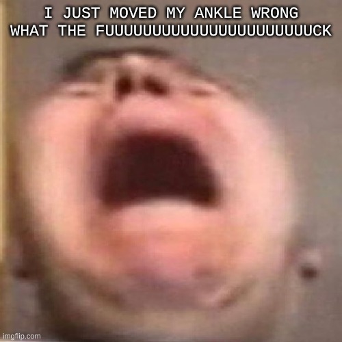 SCREAMS IN O U C H | I JUST MOVED MY ANKLE WRONG WHAT THE FUUUUUUUUUUUUUUUUUUUUUUCK | image tagged in nikocado scream | made w/ Imgflip meme maker