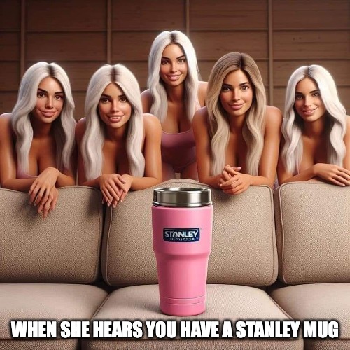 I just got stanleyed | WHEN SHE HEARS YOU HAVE A STANLEY MUG | image tagged in stanley cup | made w/ Imgflip meme maker
