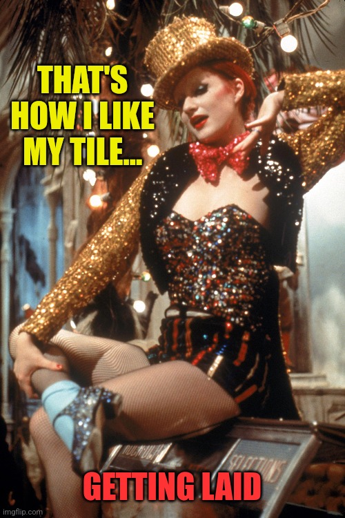 THAT'S HOW I LIKE MY TILE... GETTING LAID | made w/ Imgflip meme maker
