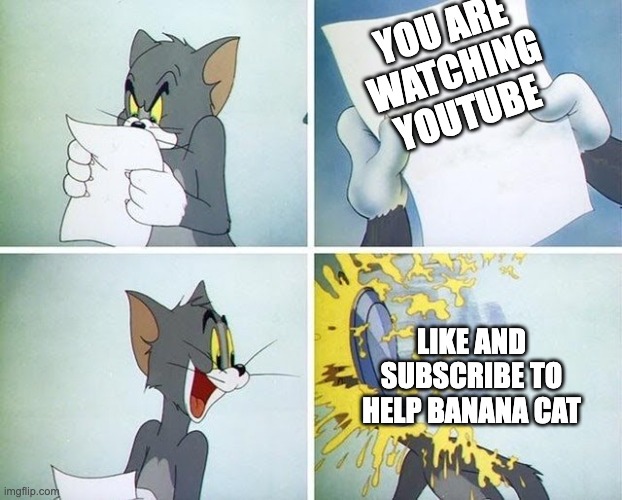 I HATE videos that tell me to subscribe to help some imaginary character | YOU ARE WATCHING YOUTUBE; LIKE AND SUBSCRIBE TO HELP BANANA CAT | image tagged in tom and jerry custard pie,youtube shorts | made w/ Imgflip meme maker
