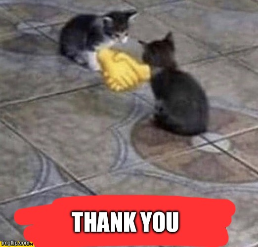 Cats shaking hands | THANK YOU | image tagged in cats shaking hands | made w/ Imgflip meme maker